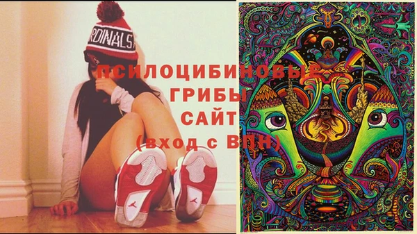 мет Няндома