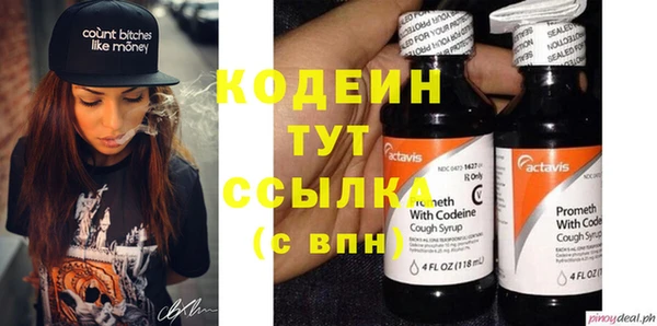 мет Няндома